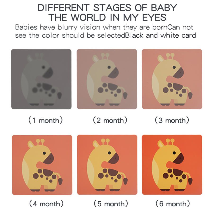 Baby Visual Stimulation Cards  - огляд і ціна Baby Food Eat