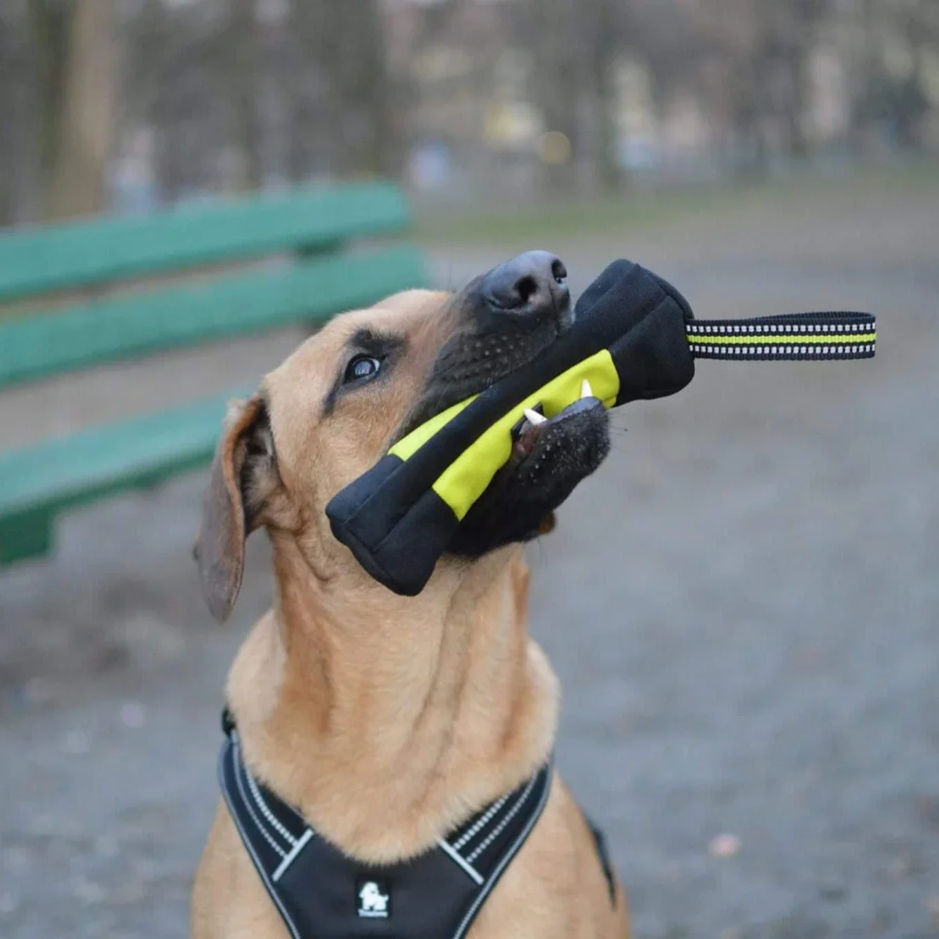 Truelove Dog Training Retrieve - огляд і ціна Food Pouch Reusable